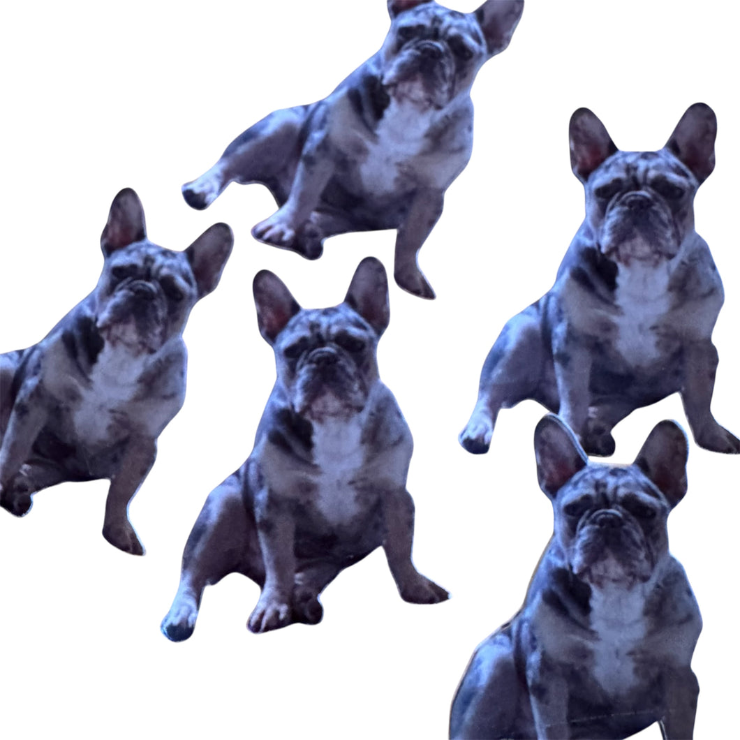 Custom Photo Confetti – Personalized Party Décor