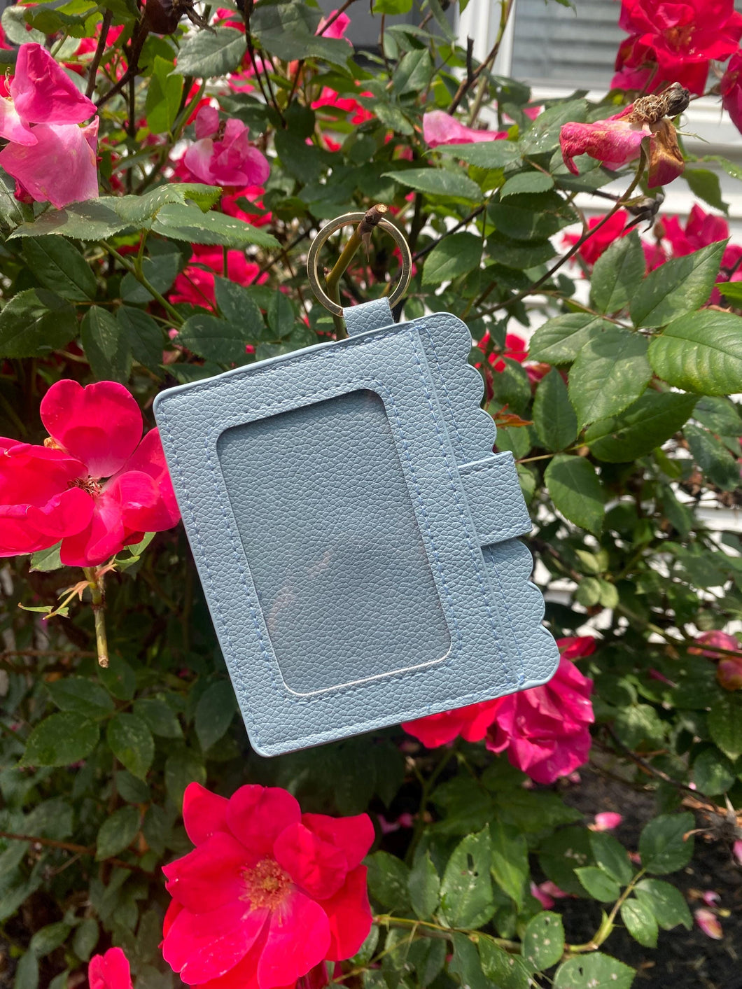 Blue Wallet - ID Wallet - Wallet